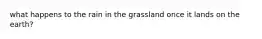 what happens to the rain in the grassland once it lands on the earth?