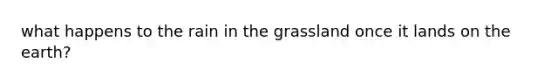 what happens to the rain in the grassland once it lands on the earth?