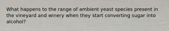 What happens to the range of ambient yeast species present in the vineyard and winery when they start converting sugar into alcohol?