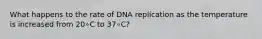 What happens to the rate of DNA replication as the temperature is increased from 20∘C to 37∘C?