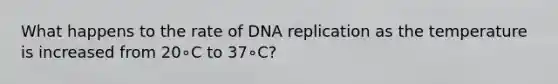 What happens to the rate of DNA replication as the temperature is increased from 20∘C to 37∘C?