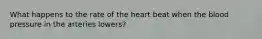 What happens to the rate of the heart beat when the blood pressure in the arteries lowers?