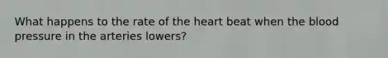 What happens to the rate of the heart beat when the blood pressure in the arteries lowers?