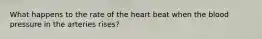 What happens to the rate of the heart beat when the blood pressure in the arteries rises?