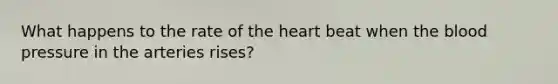 What happens to the rate of the heart beat when the blood pressure in the arteries rises?