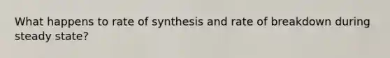 What happens to rate of synthesis and rate of breakdown during steady state?