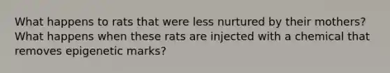 What happens to rats that were less nurtured by their mothers? What happens when these rats are injected with a chemical that removes epigenetic marks?