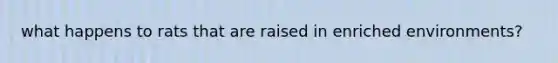 what happens to rats that are raised in enriched environments?