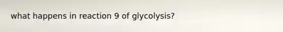 what happens in reaction 9 of glycolysis?