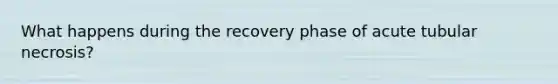 What happens during the recovery phase of acute tubular necrosis?