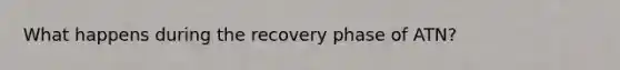 What happens during the recovery phase of ATN?