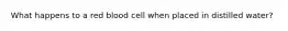 What happens to a red blood cell when placed in distilled water?