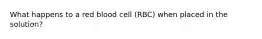 What happens to a red blood cell (RBC) when placed in the solution?