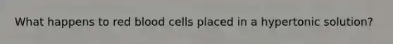 What happens to red blood cells placed in a hypertonic solution?