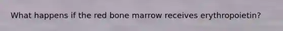 What happens if the red bone marrow receives erythropoietin?