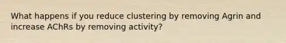 What happens if you reduce clustering by removing Agrin and increase AChRs by removing activity?