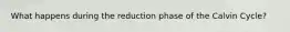 What happens during the reduction phase of the Calvin Cycle?