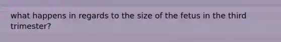 what happens in regards to the size of the fetus in the third trimester?