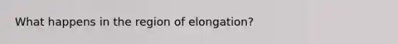 What happens in the region of elongation?