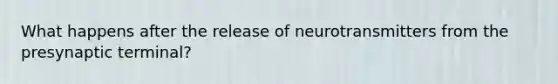 What happens after the release of neurotransmitters from the presynaptic terminal?