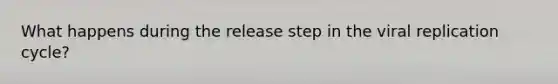 What happens during the release step in the viral replication cycle?