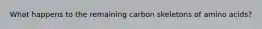 What happens to the remaining carbon skeletons of amino acids?