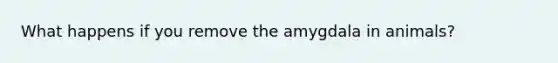 What happens if you remove the amygdala in animals?