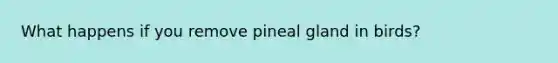 What happens if you remove pineal gland in birds?