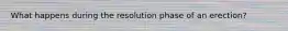 What happens during the resolution phase of an erection?