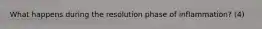 What happens during the resolution phase of inflammation? (4)