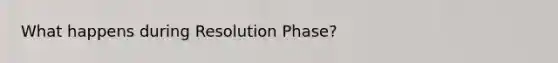 What happens during Resolution Phase?