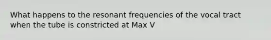 What happens to the resonant frequencies of the vocal tract when the tube is constricted at Max V