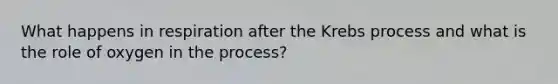 What happens in respiration after the Krebs process and what is the role of oxygen in the process?