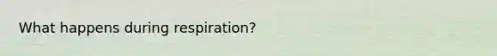 What happens during respiration?