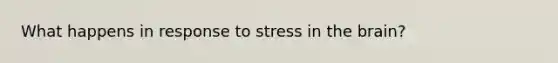 What happens in response to stress in the brain?