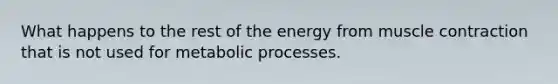 What happens to the rest of the energy from muscle contraction that is not used for metabolic processes.