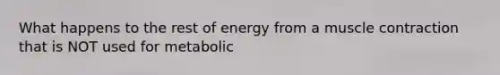 What happens to the rest of energy from a muscle contraction that is NOT used for metabolic