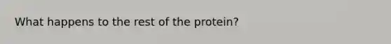 What happens to the rest of the protein?