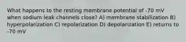 What happens to the resting membrane potential of -70 mV when sodium leak channels close? A) membrane stabilization B) hyperpolarization C) repolarization D) depolarization E) returns to -70 mV