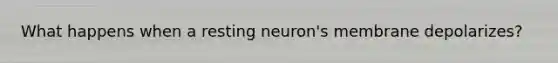 What happens when a resting neuron's membrane depolarizes?