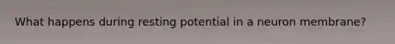 What happens during resting potential in a neuron membrane?
