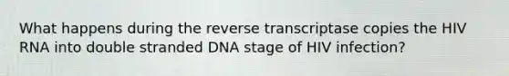 What happens during the reverse transcriptase copies the HIV RNA into double stranded DNA stage of HIV infection?