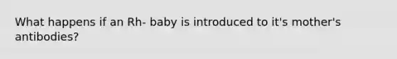 What happens if an Rh- baby is introduced to it's mother's antibodies?