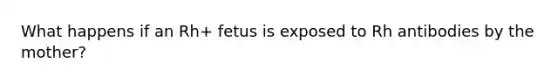 What happens if an Rh+ fetus is exposed to Rh antibodies by the mother?