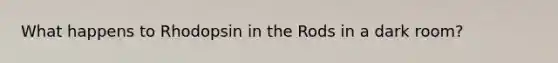 What happens to Rhodopsin in the Rods in a dark room?