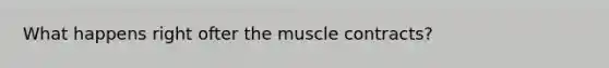 What happens right ofter the muscle contracts?