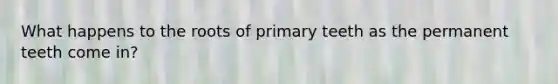 What happens to the roots of primary teeth as the permanent teeth come in?