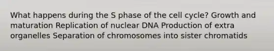 What happens during the S phase of the cell cycle? Growth and maturation Replication of nuclear DNA Production of extra organelles Separation of chromosomes into sister chromatids