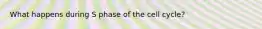 What happens during S phase of the cell cycle?