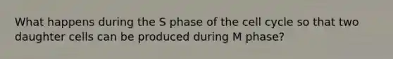 What happens during the S phase of the cell cycle so that two daughter cells can be produced during M phase?